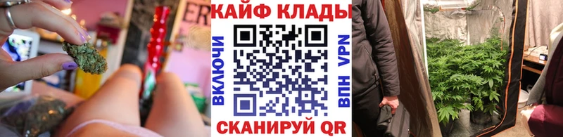 Купить наркотики цена Канаш ЭКСТАЗИ  Амфетамин  МЕФ  Конопля  КОКАИН  Alpha-PVP 