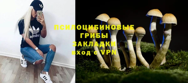 гашик Бугульма