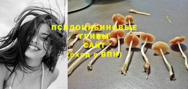 дмт Верхний Тагил