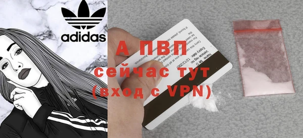 ешки Богданович