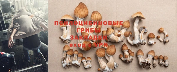 кокс Верея