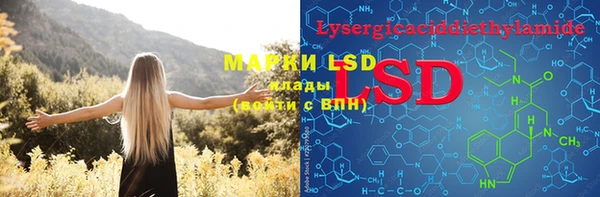 PSILOCYBIN Бородино
