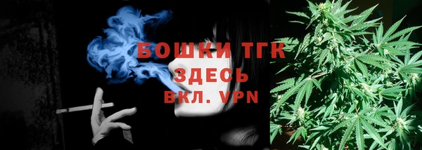 PSILOCYBIN Бородино