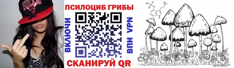 Галлюциногенные грибы Psilocybine cubensis  Канаш 